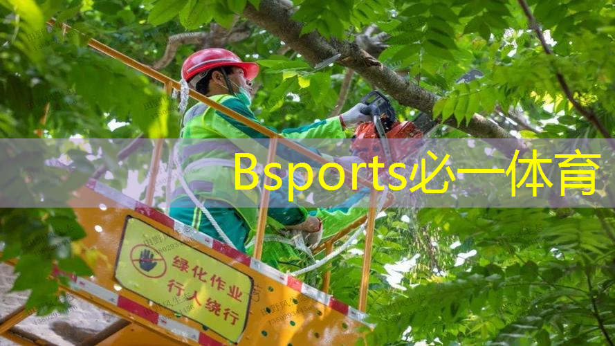 多大的网球拍需要多长的线