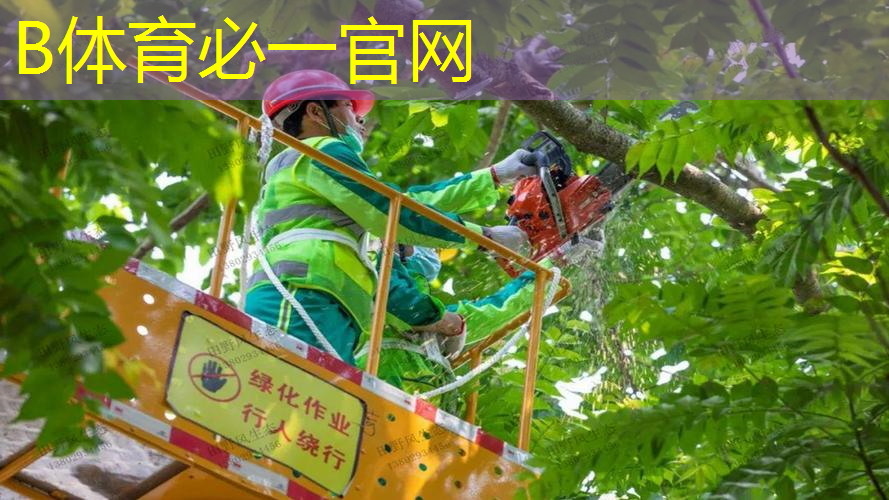 500左右的全碳纤维网球拍