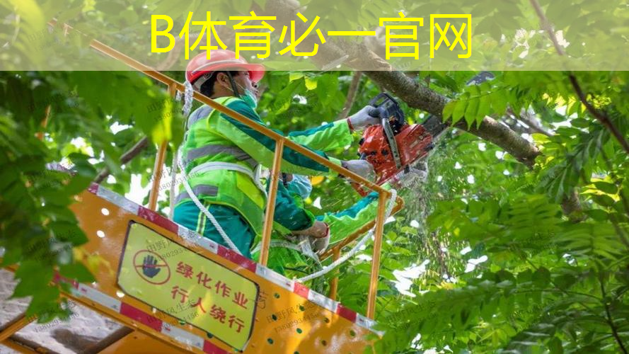 小威廉姆斯历代网球拍
