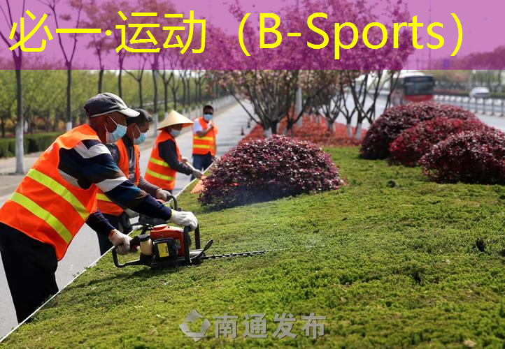 壮丽圣境！霜满天空，日落西山绿化带上的草坪染霜如雪