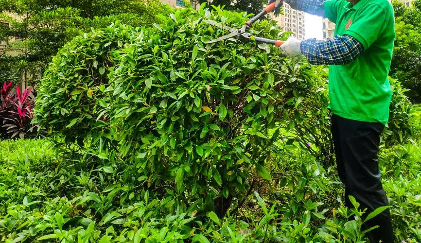 强健肌肉：利用落地单杠和免钉单杠锻炼全身力量