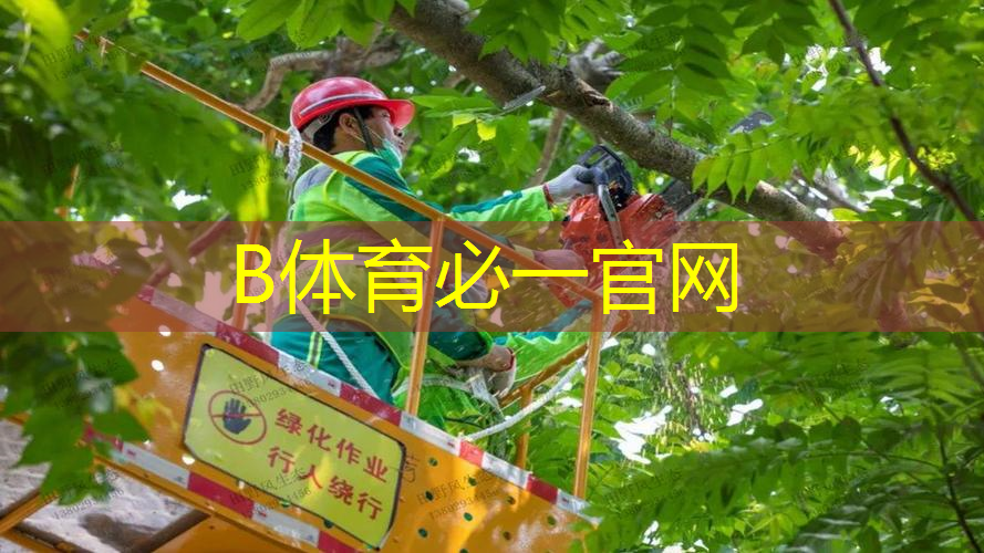 室内健身的四个动作