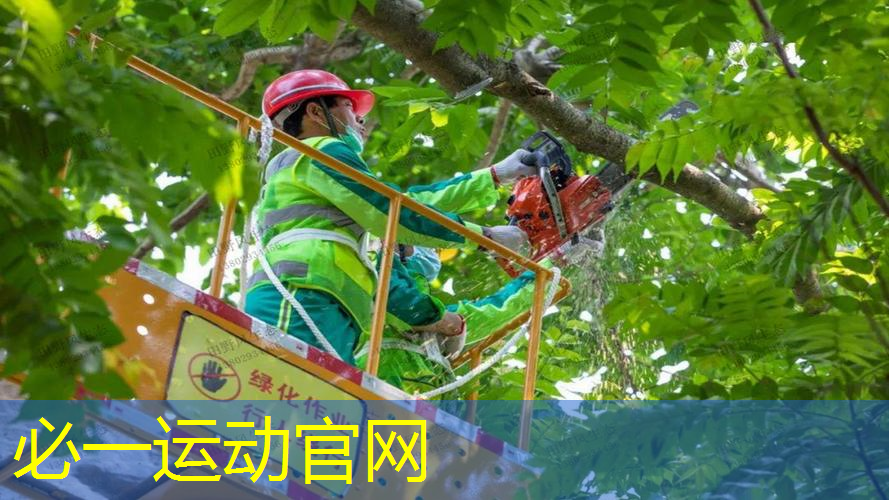 乒乓球台面高度是多少毫米