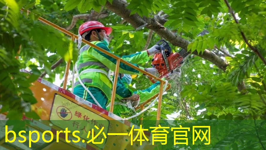 成年男人室内健身器材推荐