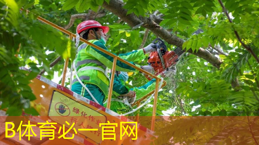 篮球架收球网高度解析：怎样影响比赛和技巧进阶？