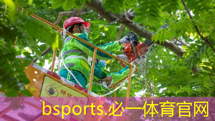 打造品质生活！庭院别墅草坪绿化工程助你实现！